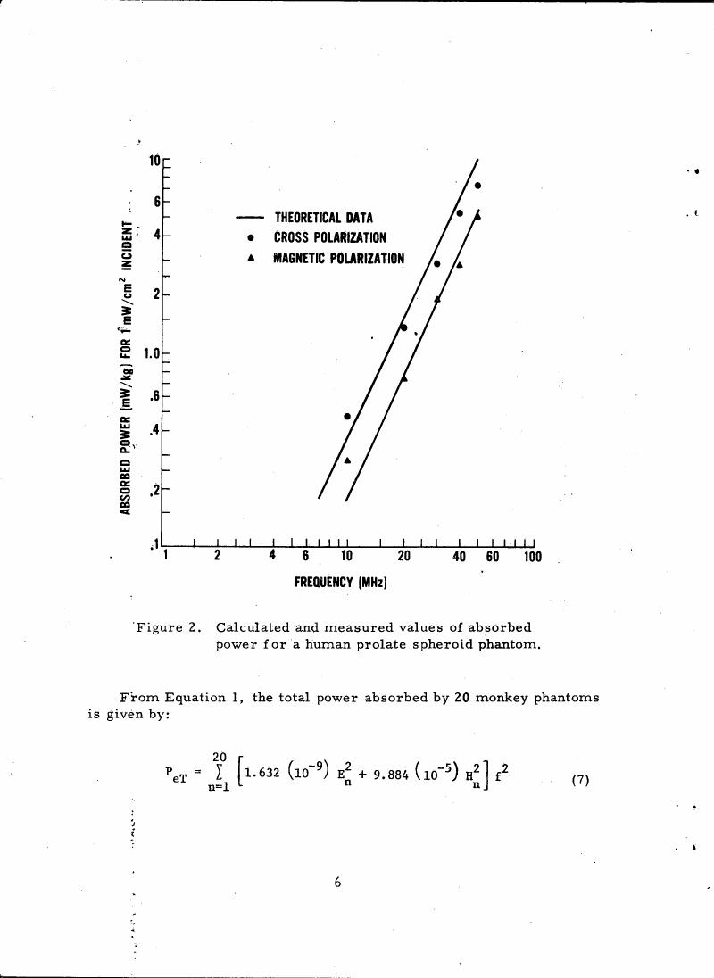 Figure 2. Calculated and measured values of absorbed power for a human prolate spheroid phantom.