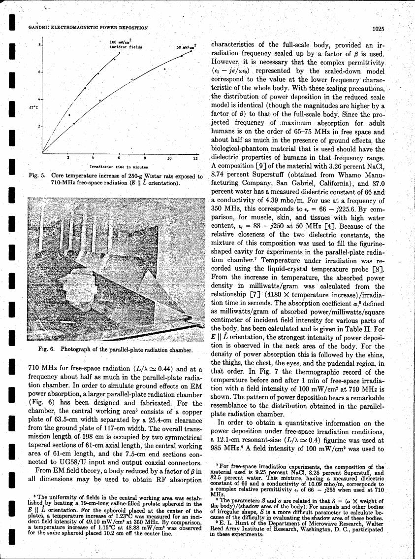 AI-described figure: Figure 5. Core temperature increase of 250-g Wistar rats exposed to 710-MHz free-space radiation (E || L orientation).