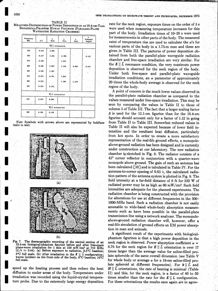 AI-described figure: A thermographic recording showing temperature changes in a biological phantom before and after exposure to microwave radiation.