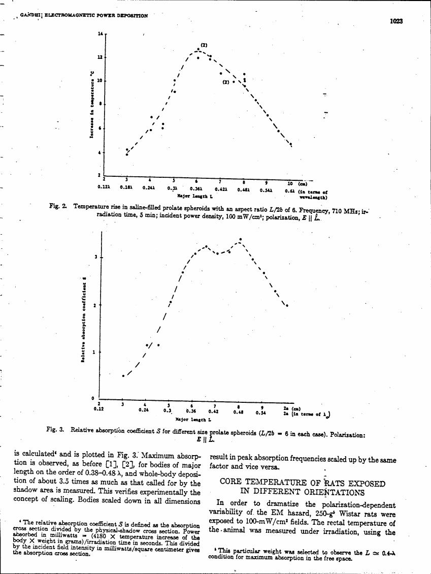 AI-described figure: Fig. 2: Temperature rise in saline-filled prolate spheroids with an aspect ratio L/2b of 6, showing the relationship between major length and temperature increase.