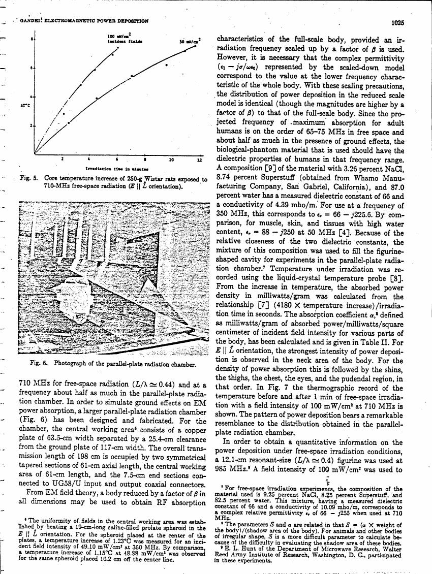 Figure 5. Core temperature increase of 250-g Wistar rats exposed to 710-MHz free-space radiation (E || L orientation).