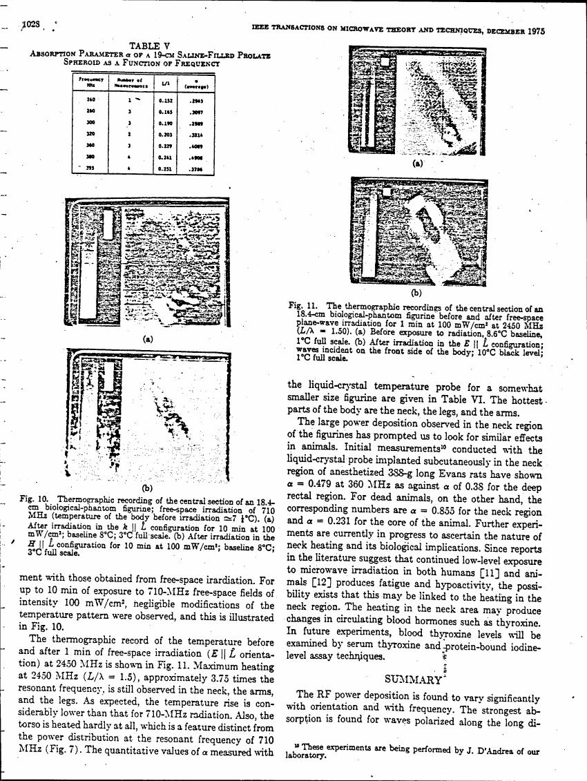 AI-described figure: Thermographic recordings showing temperature changes in a biological phantom before and after microwave irradiation at different frequencies.