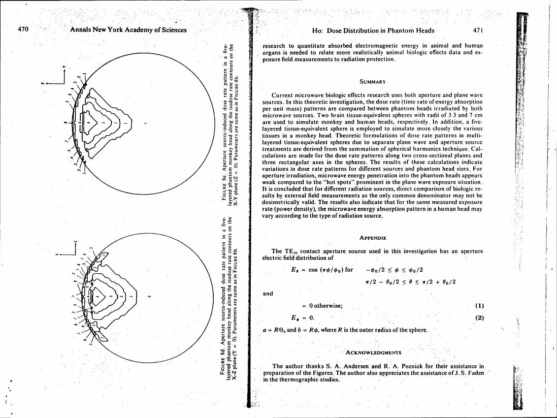 AI-described figure: Figure 8c: Aperture source-induced dose rate pattern in a five-layered phantom head on the XY plane (V = 0). Parameters are same as in Figure 8b.