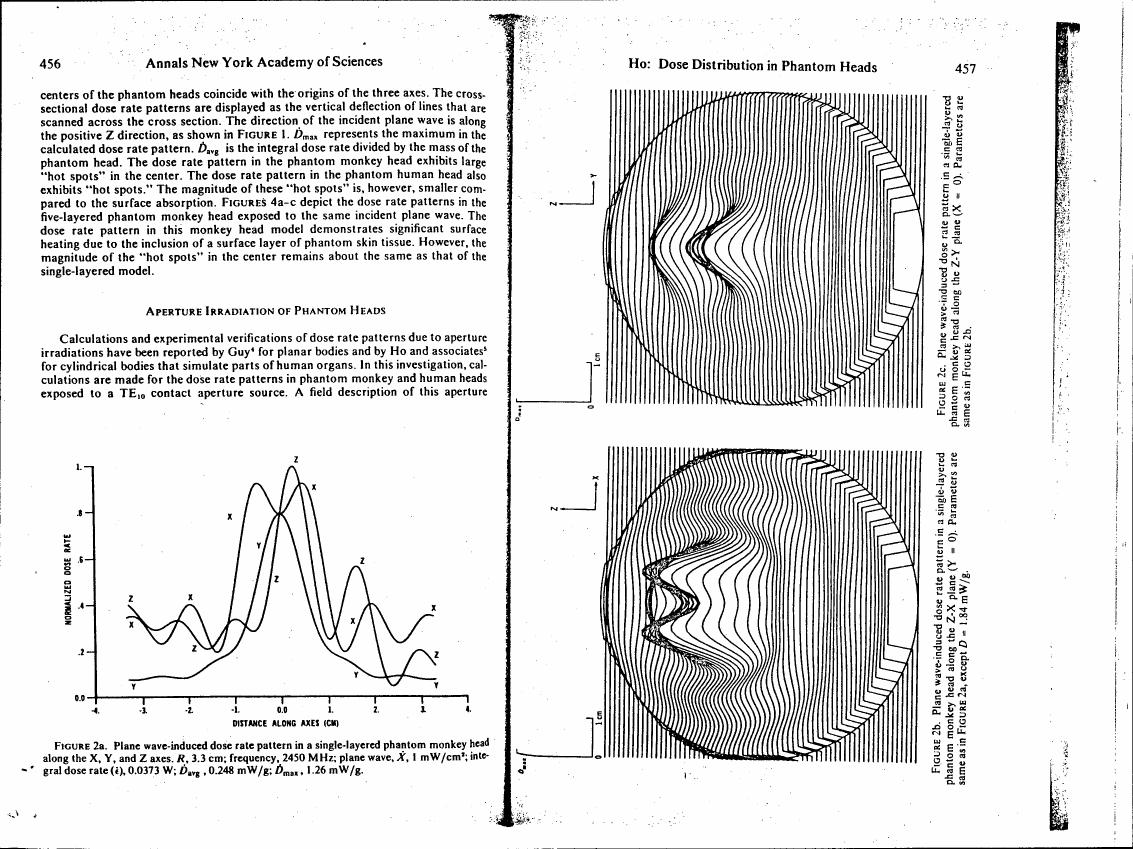 Figure 2a: Plane wave-induced dose rate pattern in a single-layered phantom monkey head along the X, Y, and Z axes.