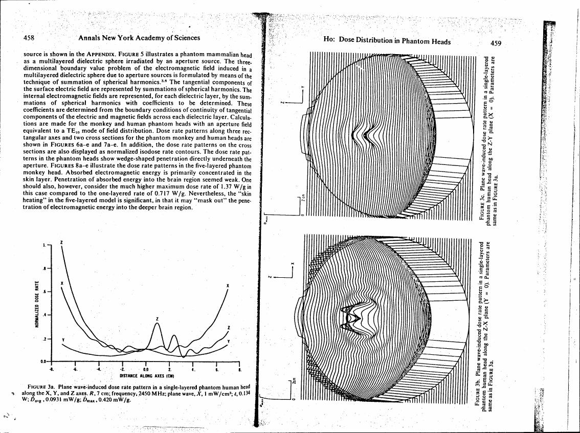 AI-described figure: Figure 3a: Plane wave-induced dose rate pattern in a single-layered phantom human head along the Z-X plane (Y = 0). Parameters are same as in Figure 3a.