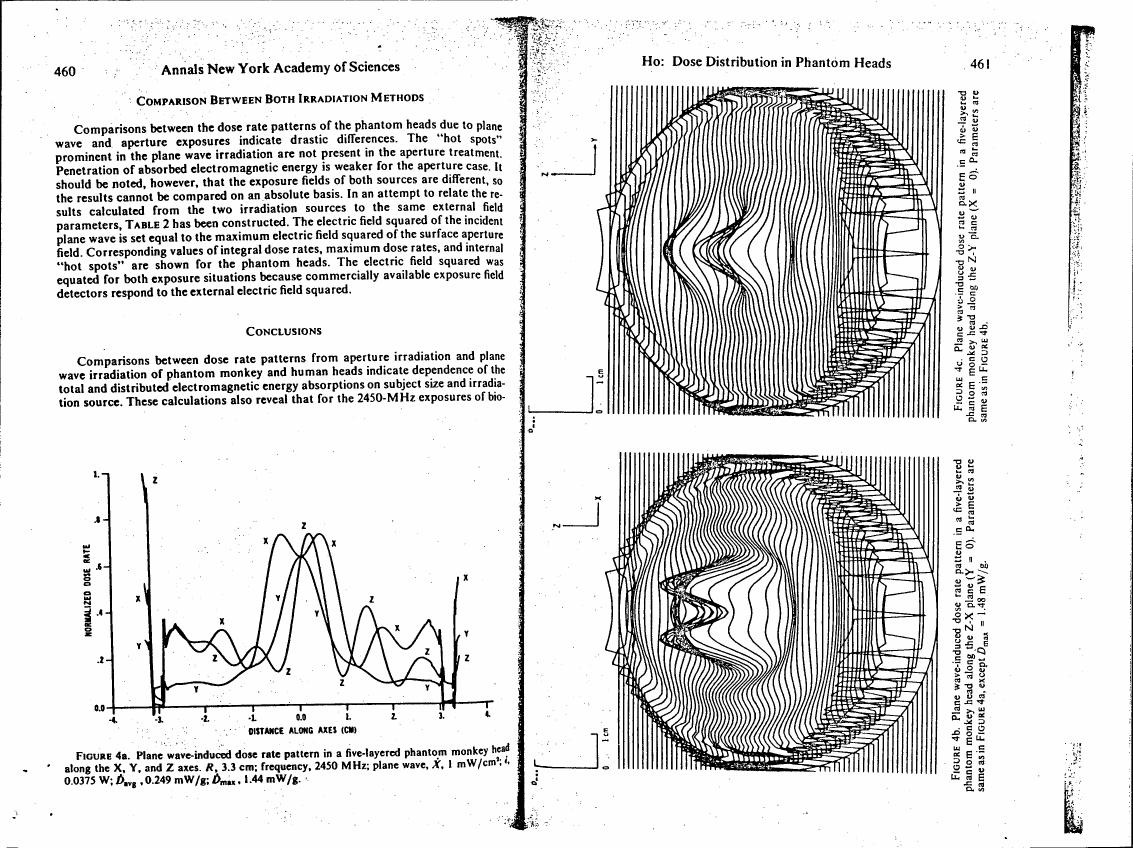 Figure 4a: Plane wave-induced dose rate pattern in a five-layered phantom monkey head along the X, Y, and Z axes.