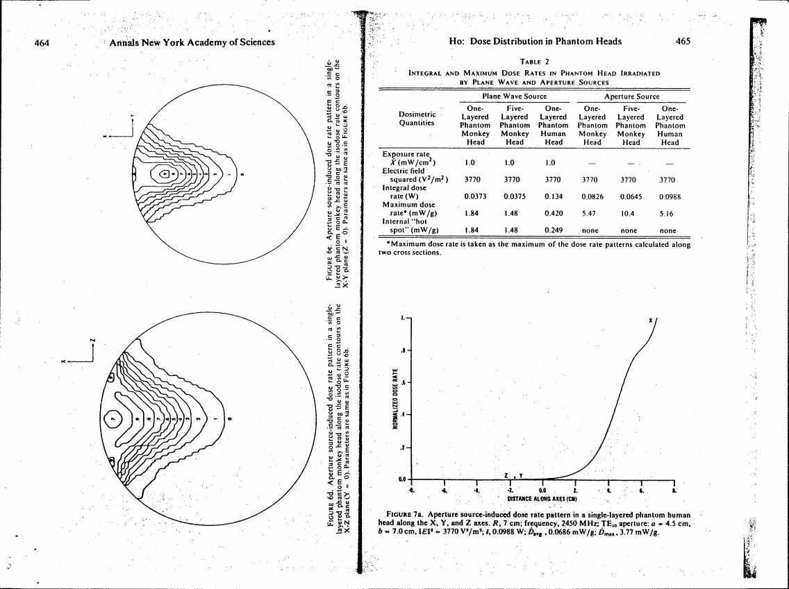 AI-described figure: Figure 7a. Aperture source-induced dose rate pattern in a single-layered phantom human head along the X, Y, and Z axes.