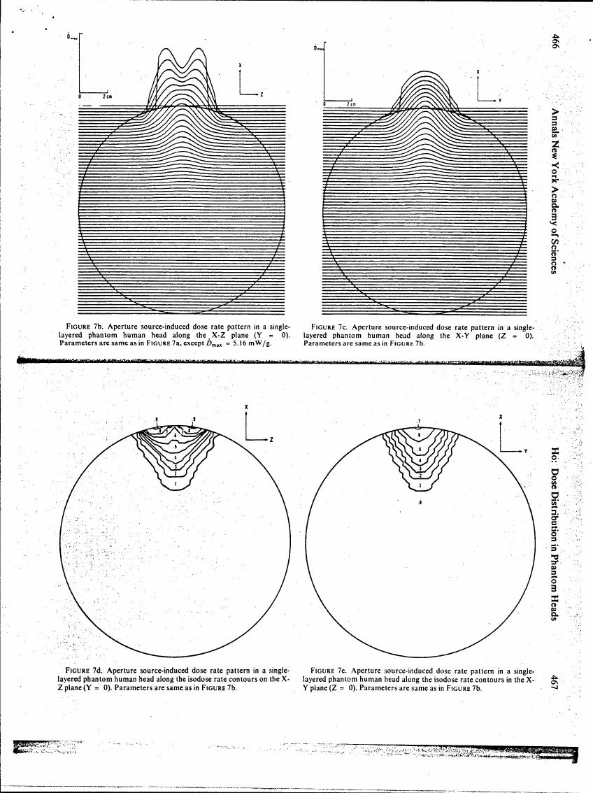 Figure 7b-7c: Aperture source-induced dose rate patterns in a single-layered phantom human head along X-Z and X-Y planes, respectively.