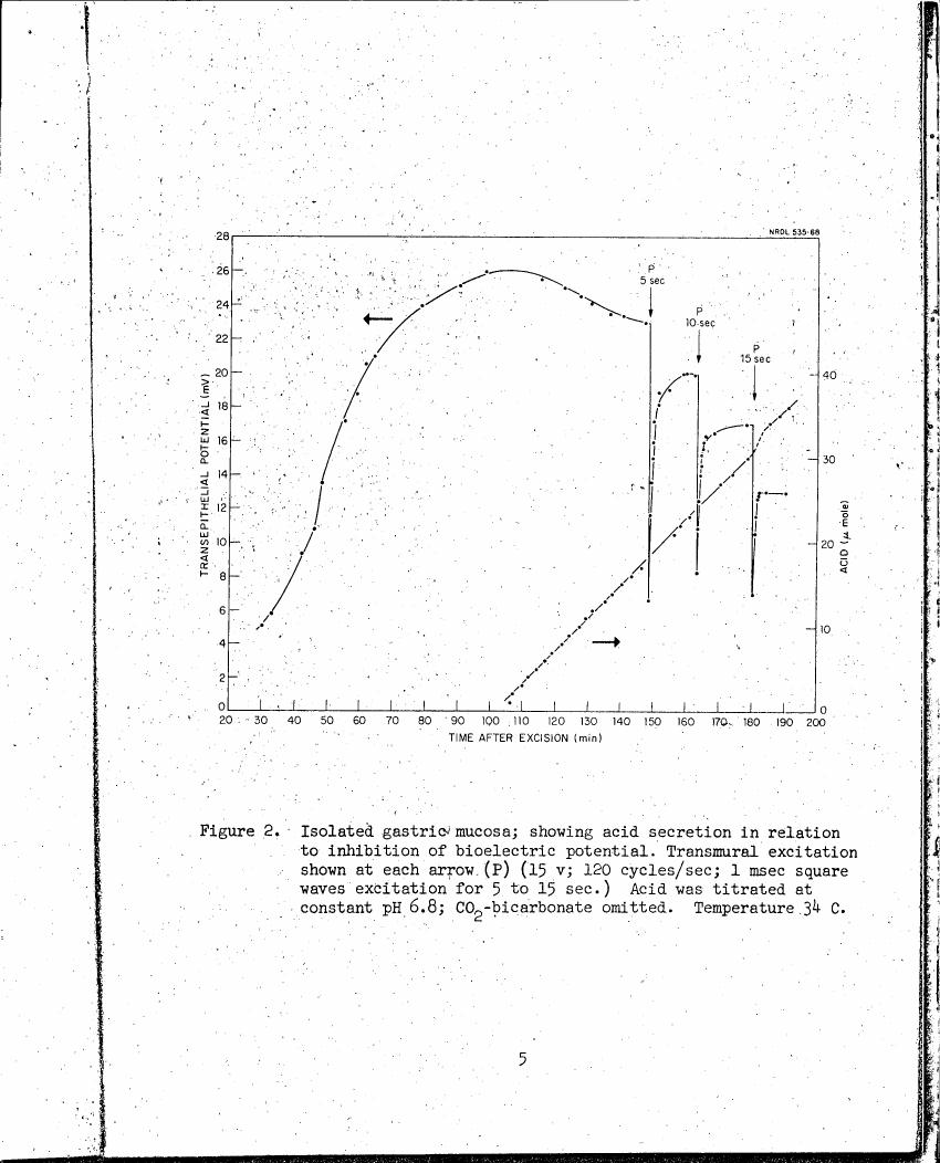 Figure 2. Isolated gastric mucosa showing acid secretion in relation to inhibition of bioelectric potential.