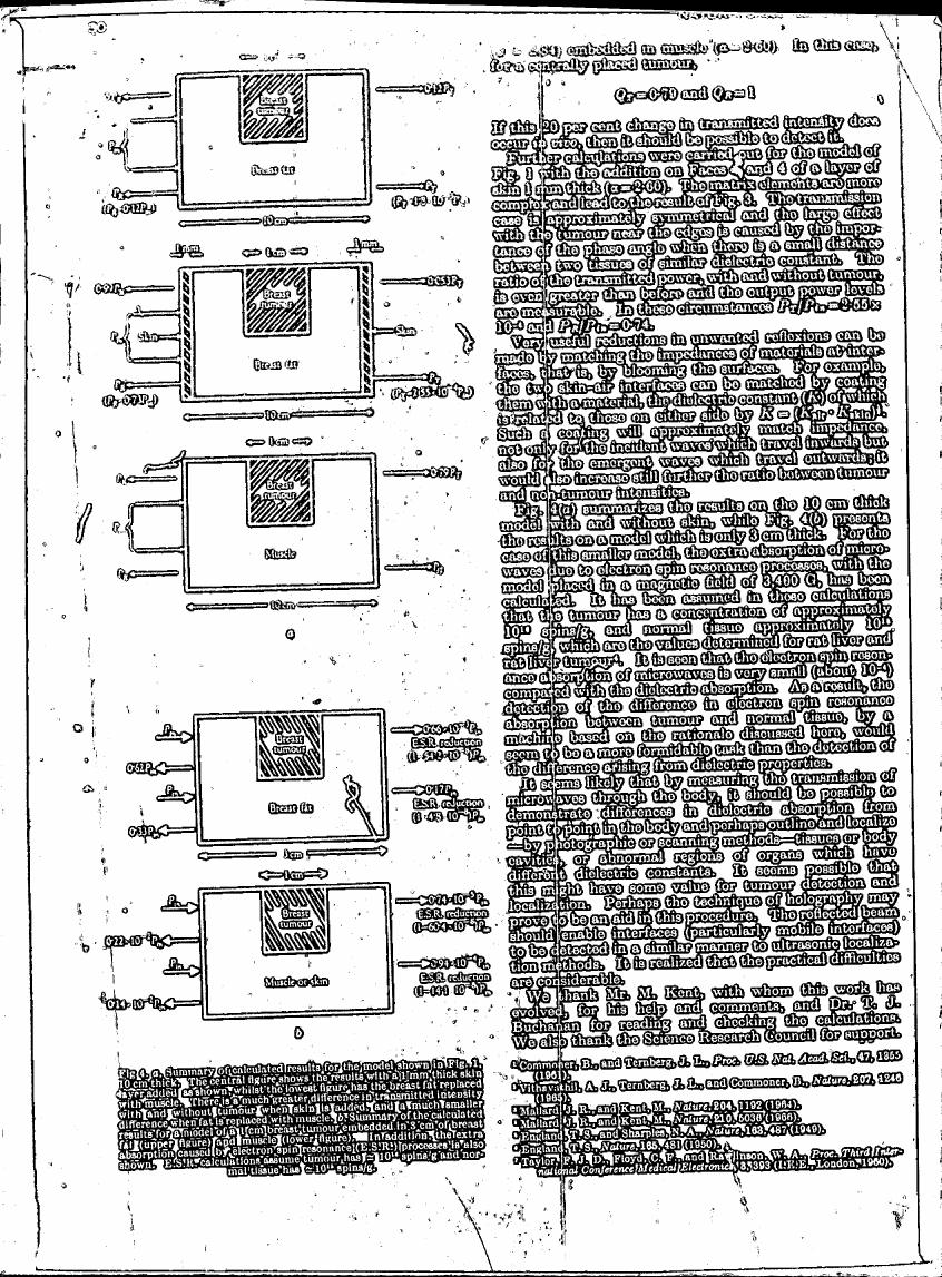 AI-described figure: A detailed diagram illustrating various components and measurements related to a scientific model, including labels for different parts such as 'Breast', 'Muscle', and 'Fat'.