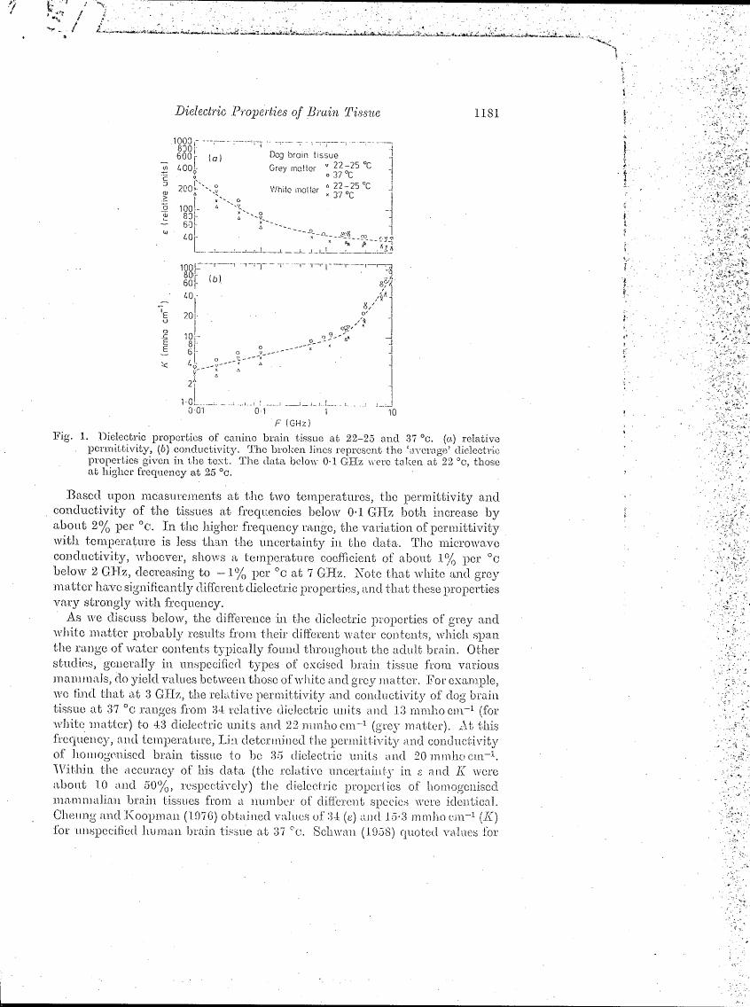 Dielectric properties of canine brain tissue at two temperatures: (a) relative permittivity and (b) conductivity.