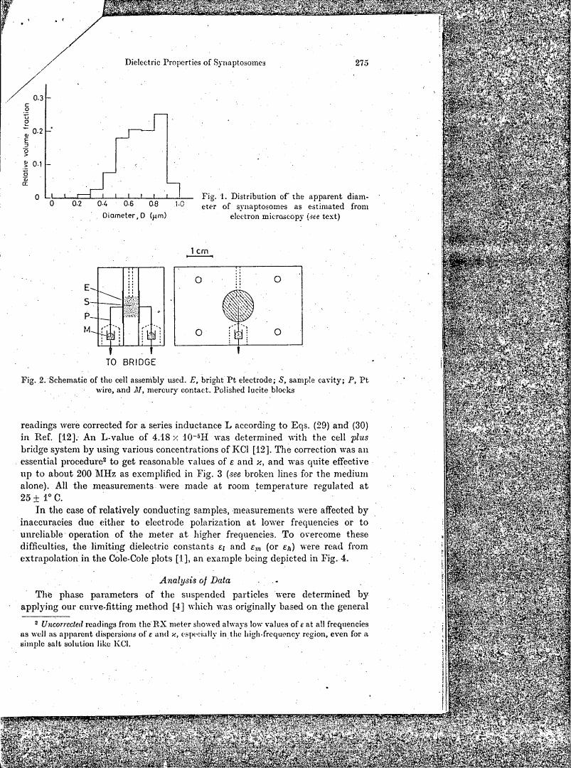 Figure 1. Distribution of the apparent diameter of synaptosomes as estimated from electron microscopy (see text)