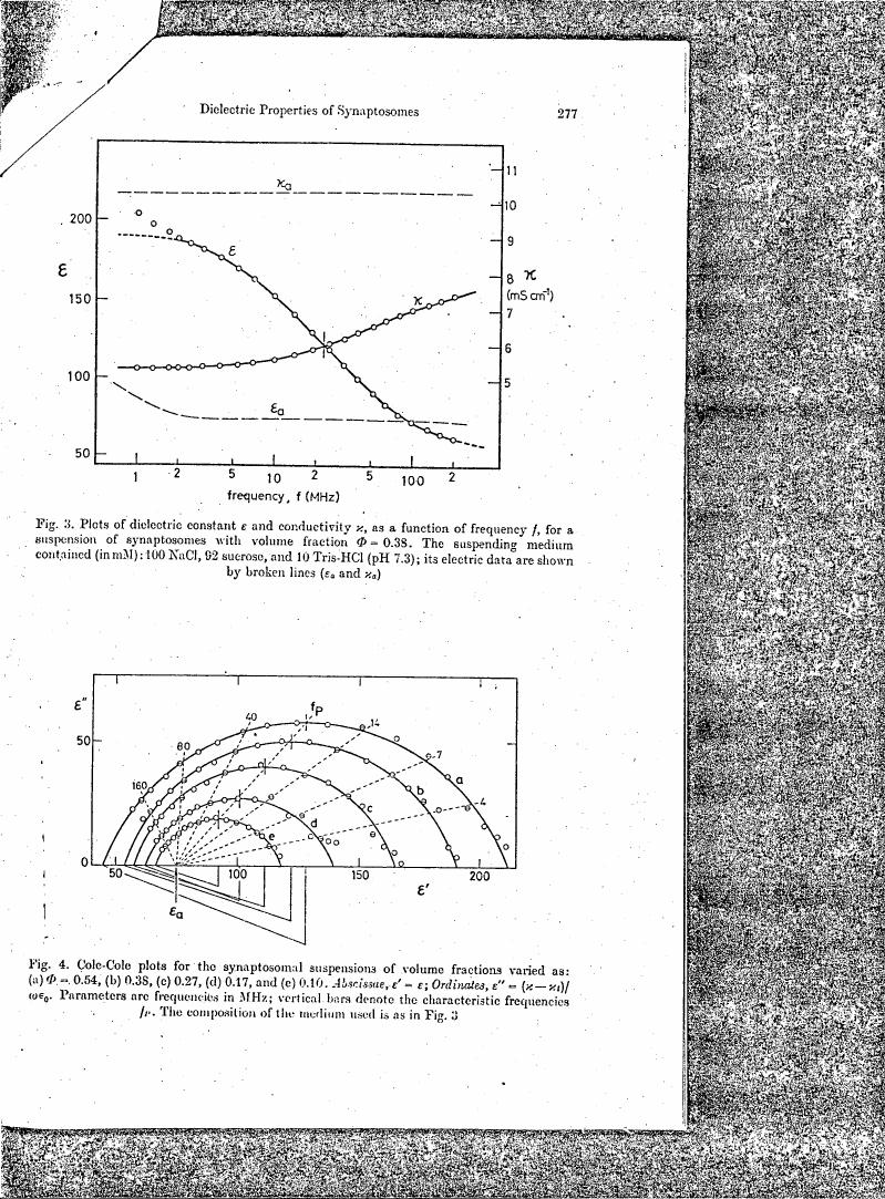 Fig. 3: Plots of dielectric constant ε and conductivity κ as a function of frequency f for synaptosomes with volume fraction Φ = 0.38.