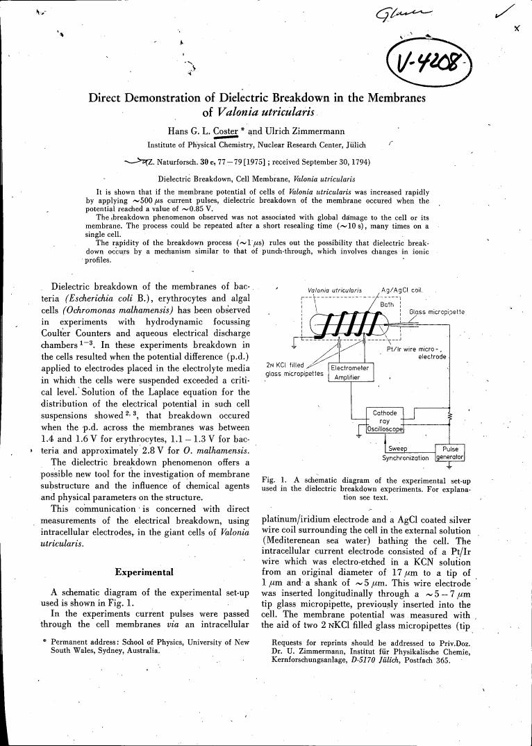 A schematic diagram of the experimental set-up used in dielectric breakdown experiments.