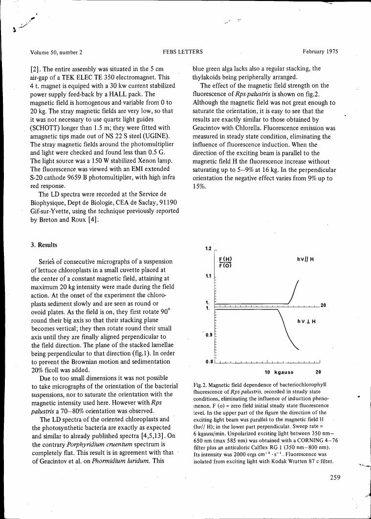 Fig.2: Magnetic field dependence of bacteriochlorophyll fluorescence of Rps palustris, recorded in steady state conditions, eliminating the influence of induction phenomenon.