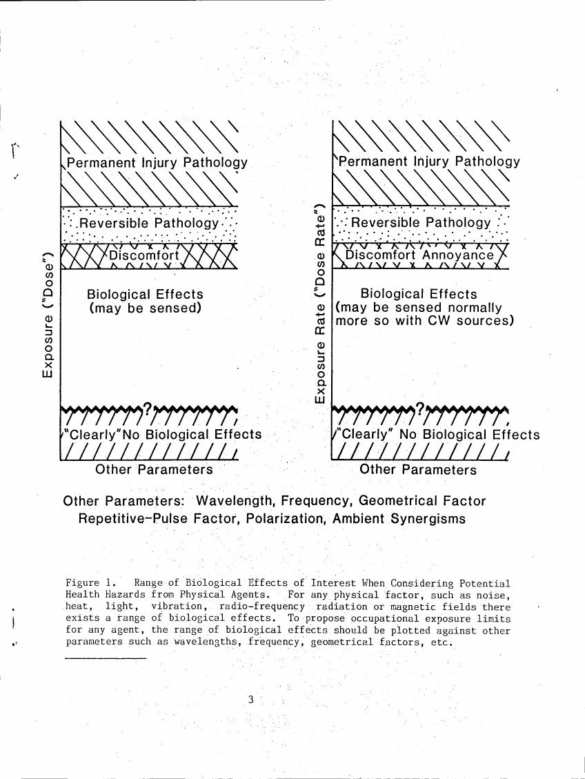 Figure 1. Range of Biological Effects of Interest When Considering Potential Health Hazards from Physical Agents.