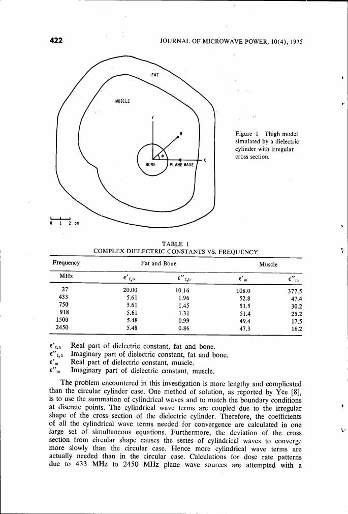 Figure 1: Thigh model simulated by a dielectric cylinder with irregular cross section.
