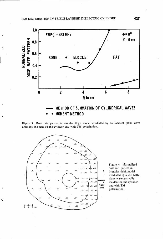 Figure 3: Dose rate pattern in a circular thigh model irradiated by an incident plane wave normally incident on the cylinder and with TM polarization.
