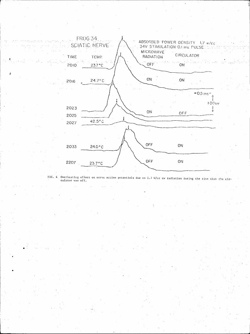 Figure 4 illustrates the overheating effect on nerve action potentials due to microwave radiation during periods when a circulator was off.