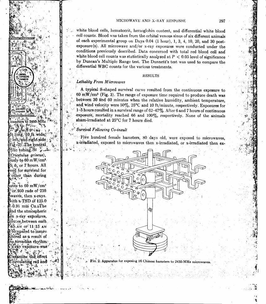 AI-described figure: Fig. 2: Apparatus for exposing 16 Chinese hamsters to 2450-MHz microwaves.
