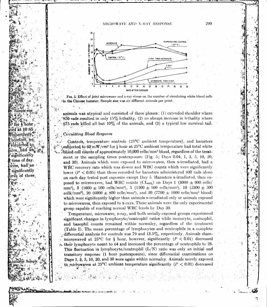 Fig. 5: Effect of joint microwave and x-ray stress on the number of circulating white blood cells in the Chinese hamster.