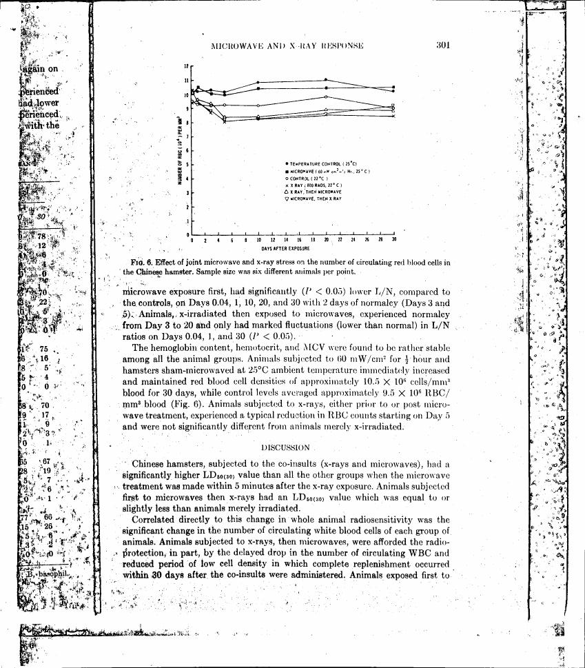 AI-described figure: Figure 6. Effect of joint microwave and x-ray stress on the number of circulating red blood cells in the Chinese hamster.
