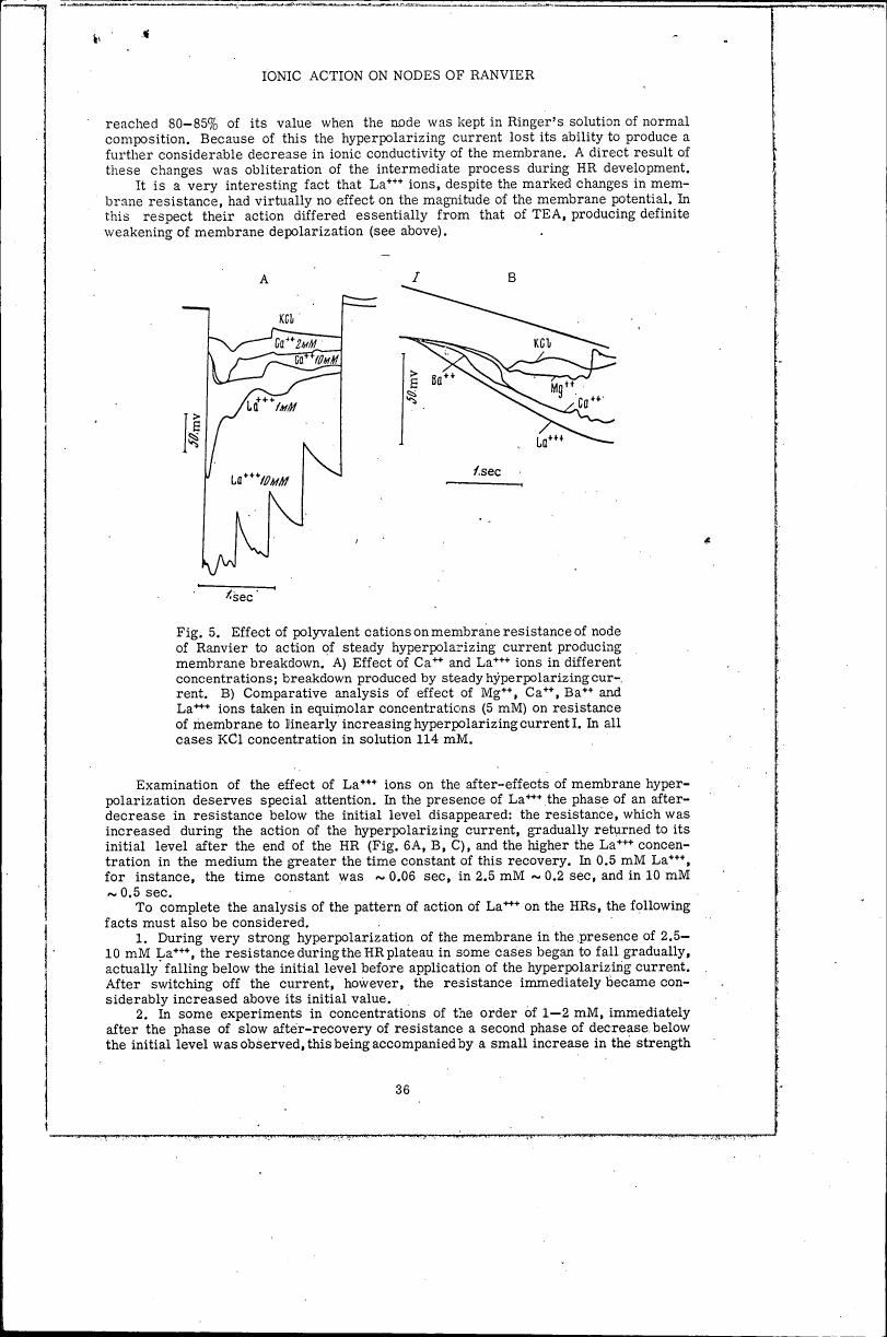 AI-described figure: Figure 5 illustrates the effect of polyvalent cations on membrane resistance at the nodes of Ranvier in response to hyperpolarizing currents, comparing different ions and concentrations.