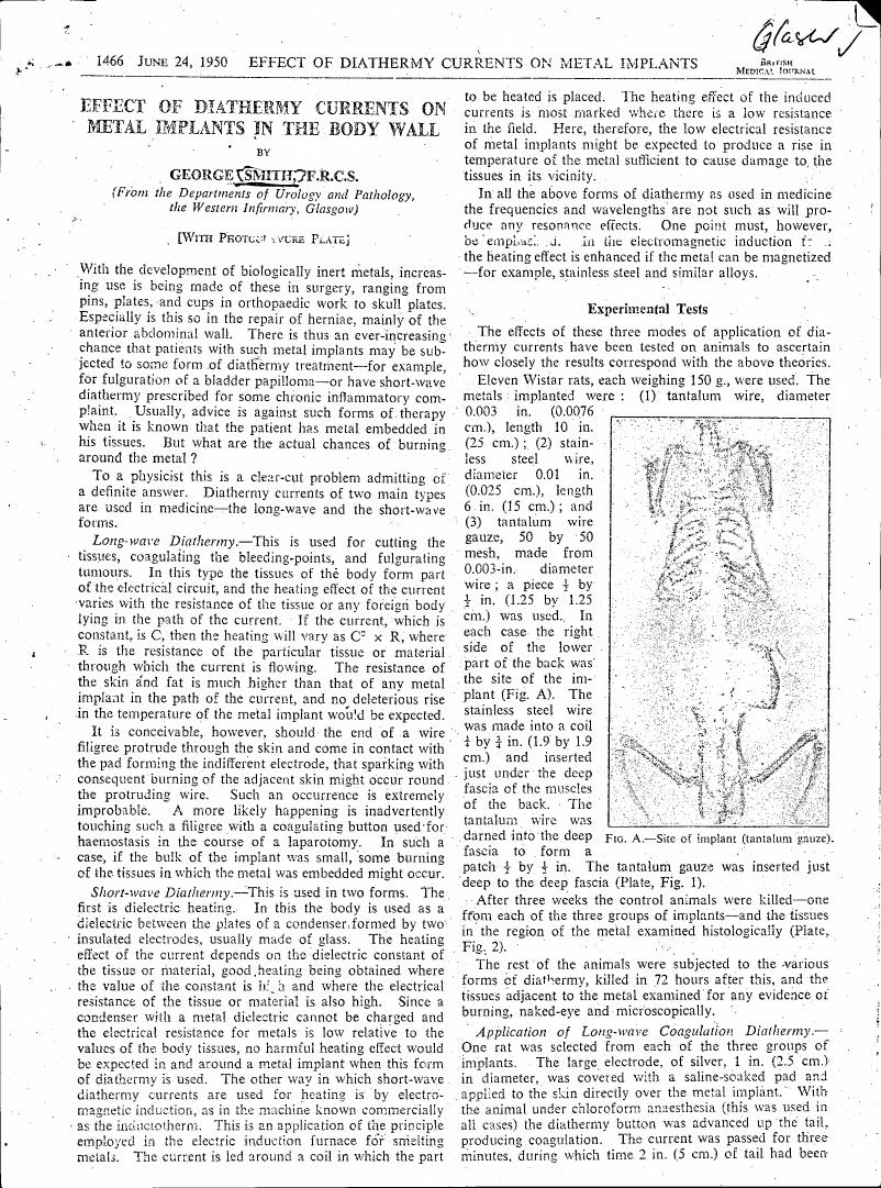 AI-described figure: A diagram showing the site of implant (tantalum gauze) in a rat's back as described in Figure A.