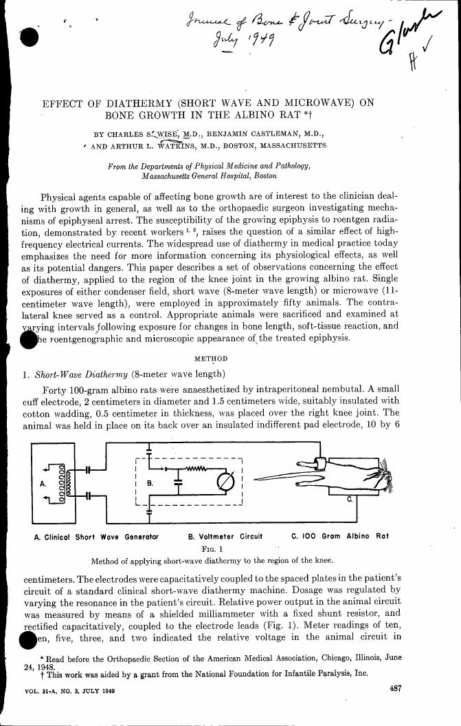 AI-described figure: A diagram illustrating the method of applying short-wave diathermy to the region of the knee in an albino rat.