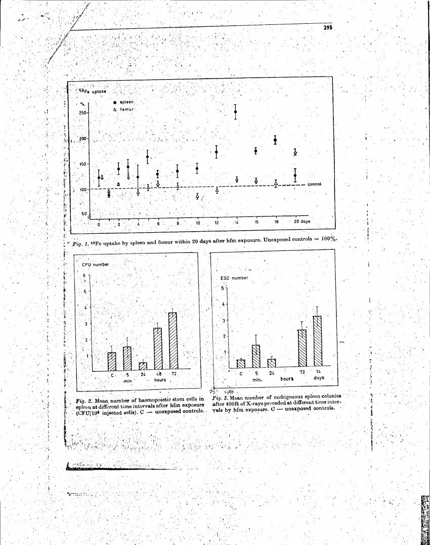 Fig. 1: 59Fe uptake by spleen and femur within 20 days after hfm exposure compared to unexposed controls.
