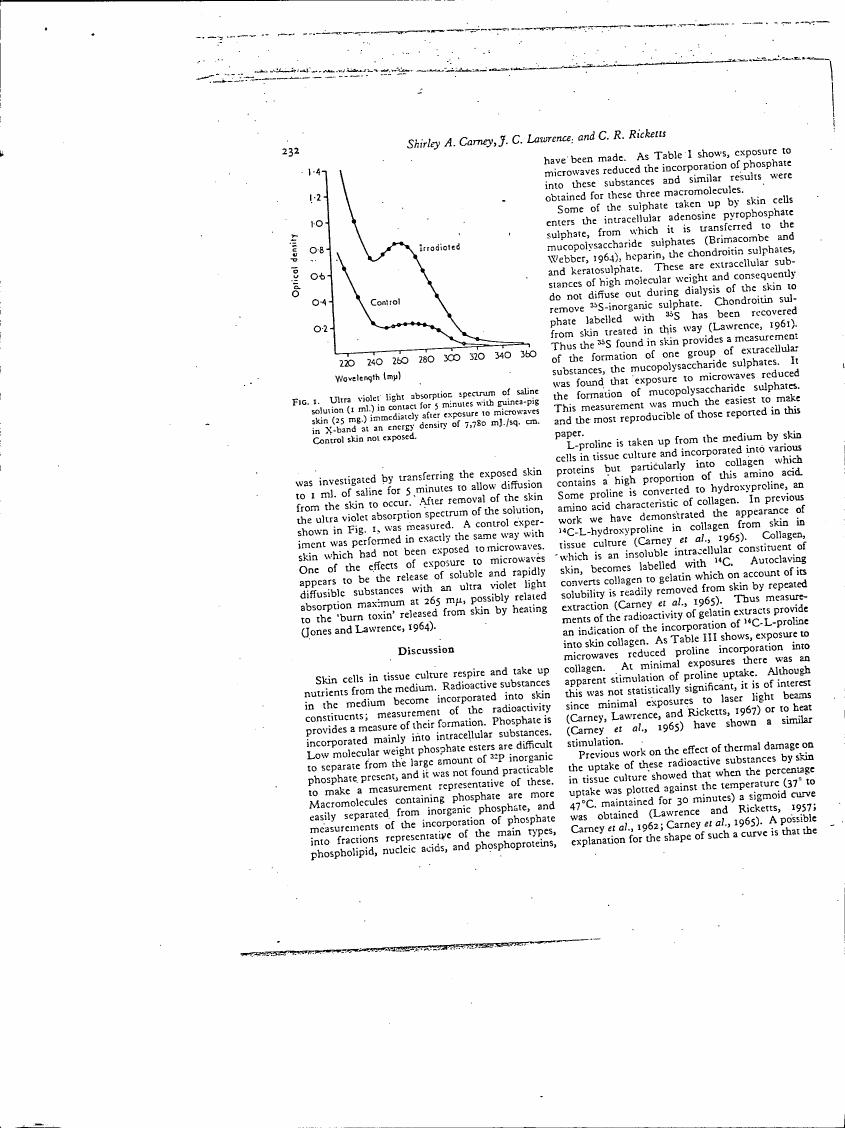 Fig. 1: Ultra violet light absorption spectrum of saline solution (5 ml) in contact for 5 minutes with guinea-pig skin (45 mg) immediately after exposure to microwaves in X-band at an energy density of 7,780 mJ/cm².