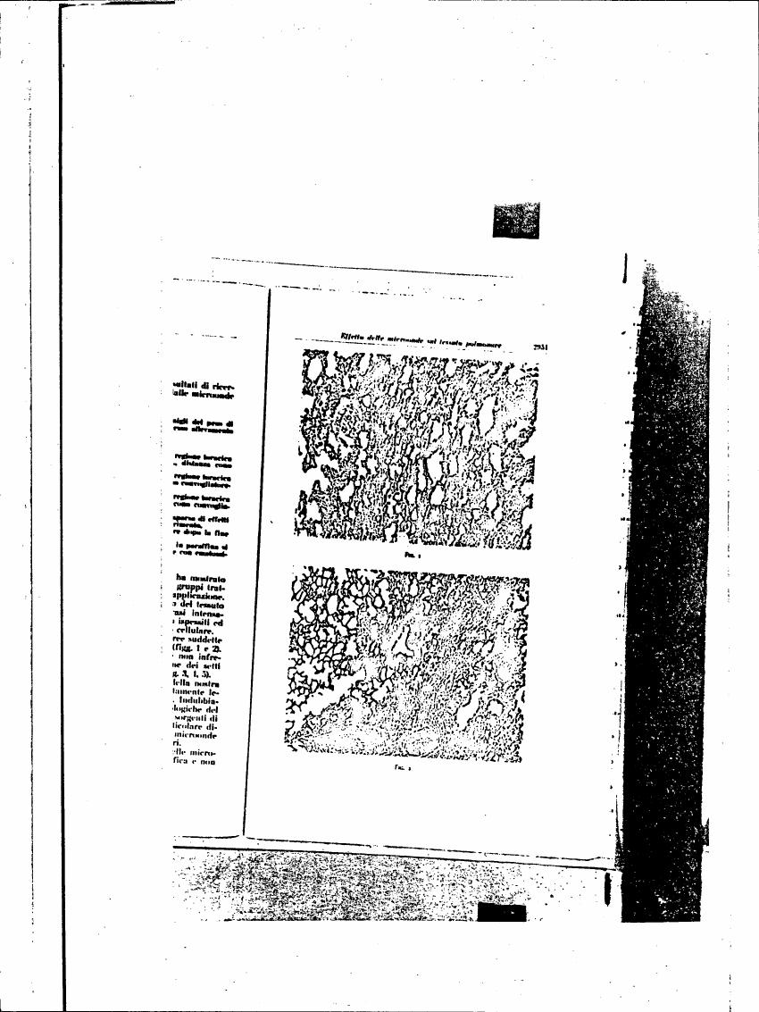 AI-described figure: Microscopic cross-sections showing cellular and tissue structures in Figure 1.