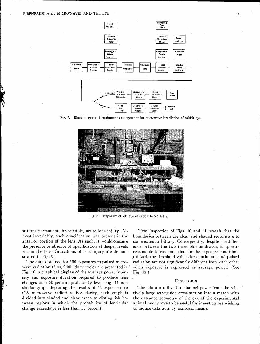 Block diagram of equipment arrangement for microwave irradiation of rabbit eye.