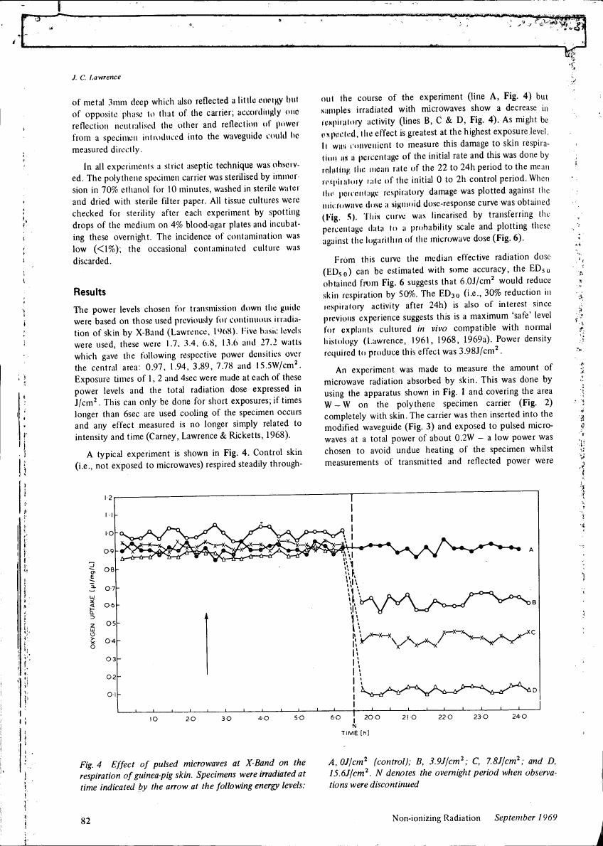 Figure 4: Effect of pulsed microwaves at X-Band on the respiration of guinea-pig skin. Specimens were irradiated at time indicated by the arrow at the following energy levels: