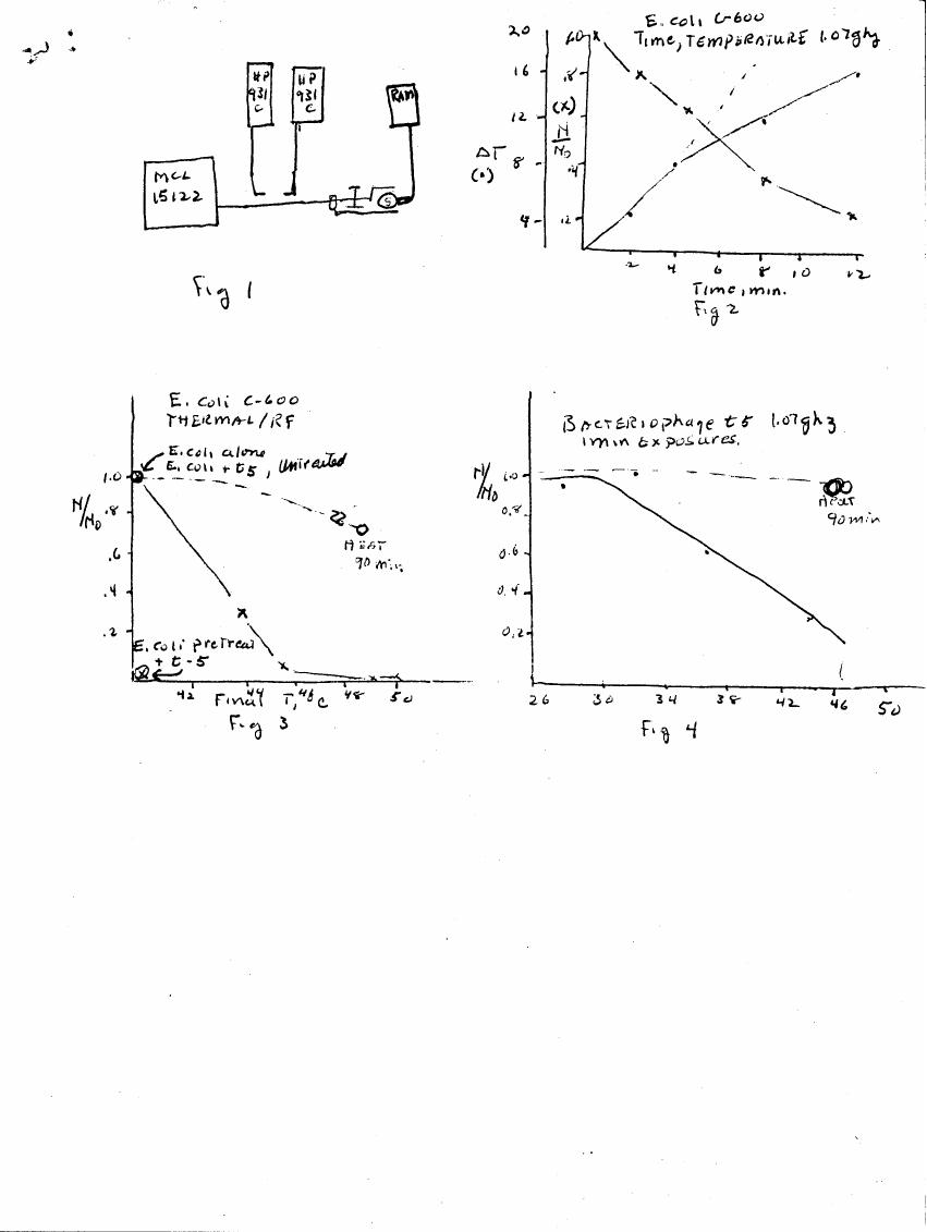 AI-described figure: Figures showing bacterial survival and temperature changes over time.