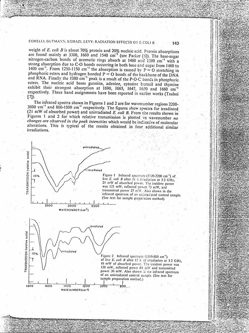 AI-described figure: Infrared spectra showing transmission intensity changes in live E. coli B after irradiation at different wavenumber regions.