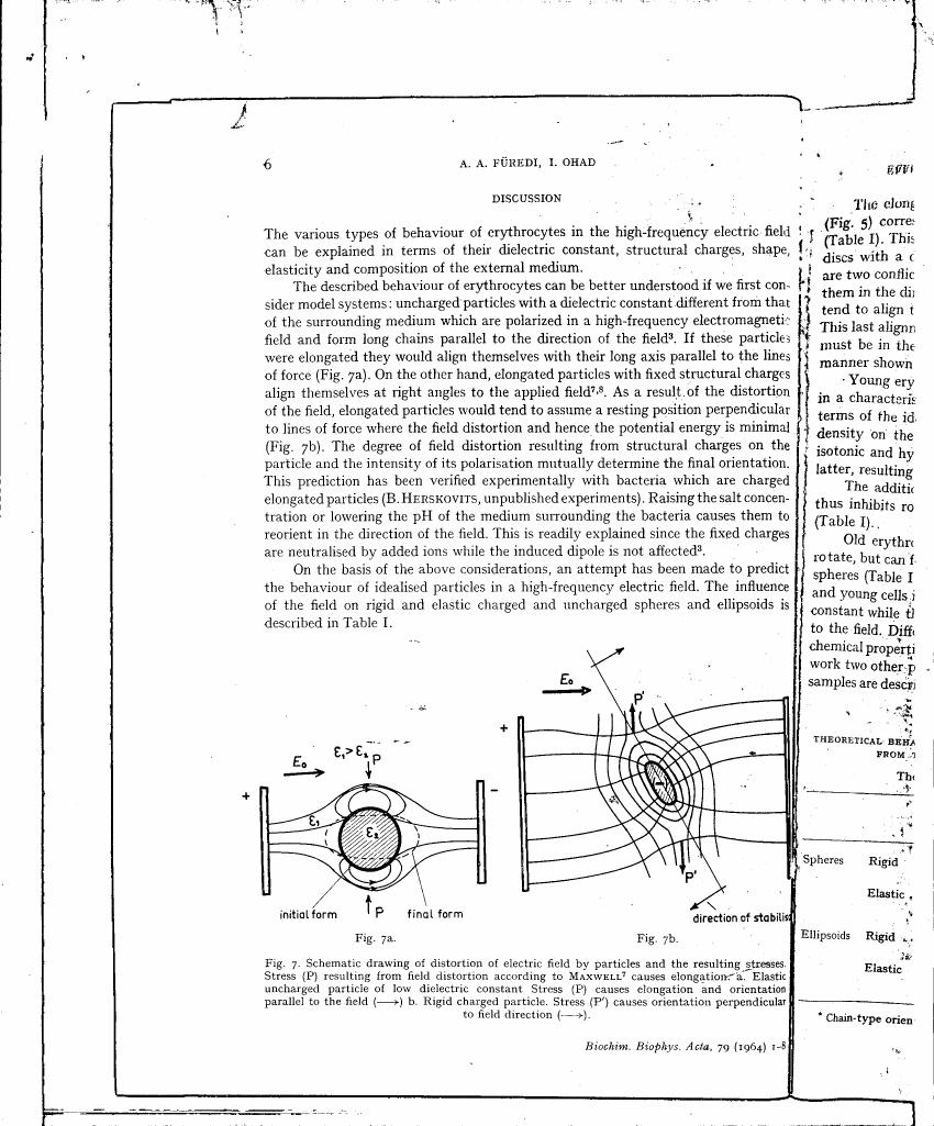 Schematic drawing of distortion of electric field by particles and the resulting stresses.