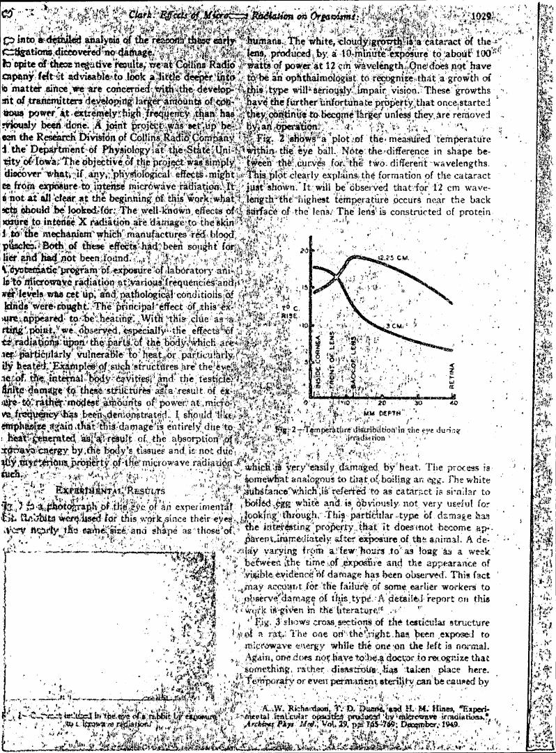 Temperature distribution in the eye during irradiation (Figure 2)