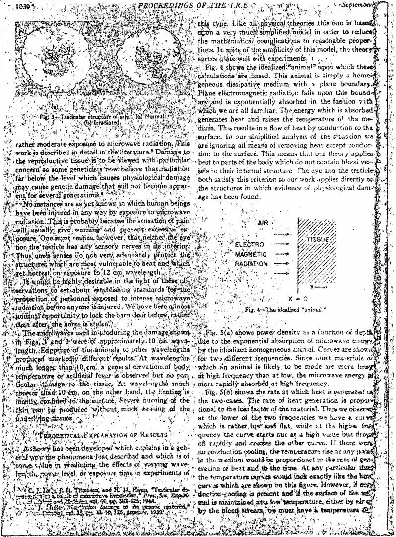 AI-described figure: Figure 4 illustrates an idealized 'animal' used in calculations for microwave radiation absorption and heat generation.