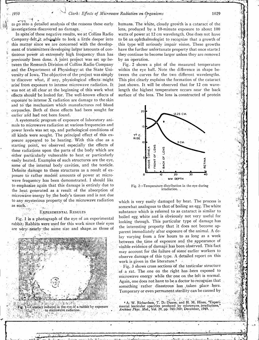 Temperature distribution in the eye during irradiation (Fig. 2)