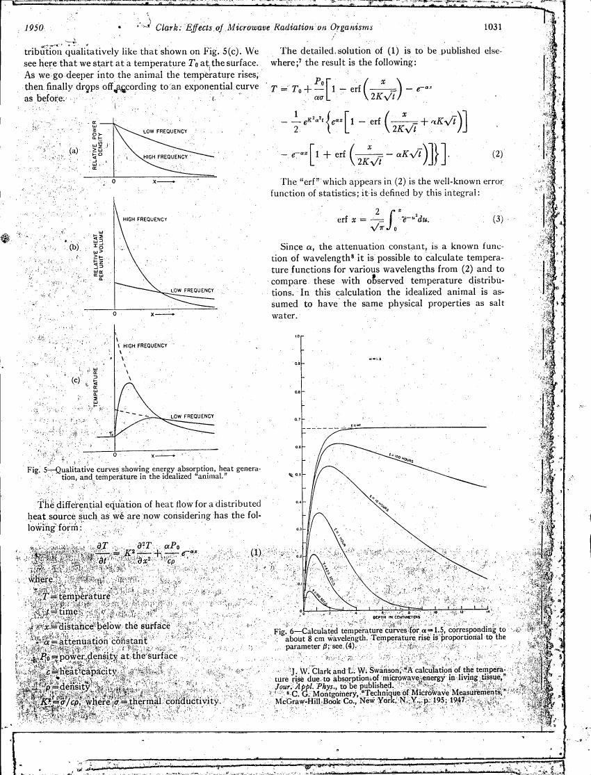Fig. 5 - Qualitative curves showing energy absorption, heat generation, and temperature in the idealized 'animal'.