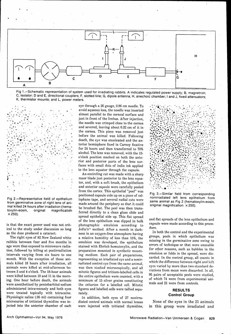 AI-described figure: Fig. 1: Schematic representation of a system used for irradiating rabbits.