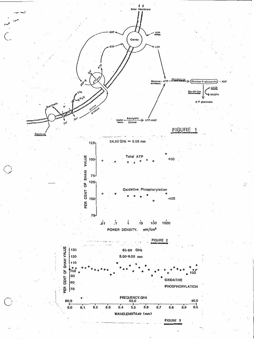 AI-described figure: Figure 1 illustrates a metabolic pathway involving ATP and glucose metabolism. Figures 2 and 3 depict data points representing oxidative phosphorylation as a percentage of sham values at varying power densities (mW/cm²) and wavelengths (mm), respectively.