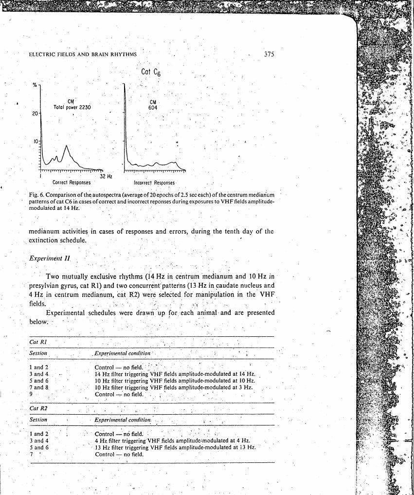 Comparison of the autospectra (average of 20 epochs of 2.5 sec each) of the centrum medianum patterns in cat C6 for correct and incorrect responses during exposures to VHF fields amplitude-modulated at 14 Hz.