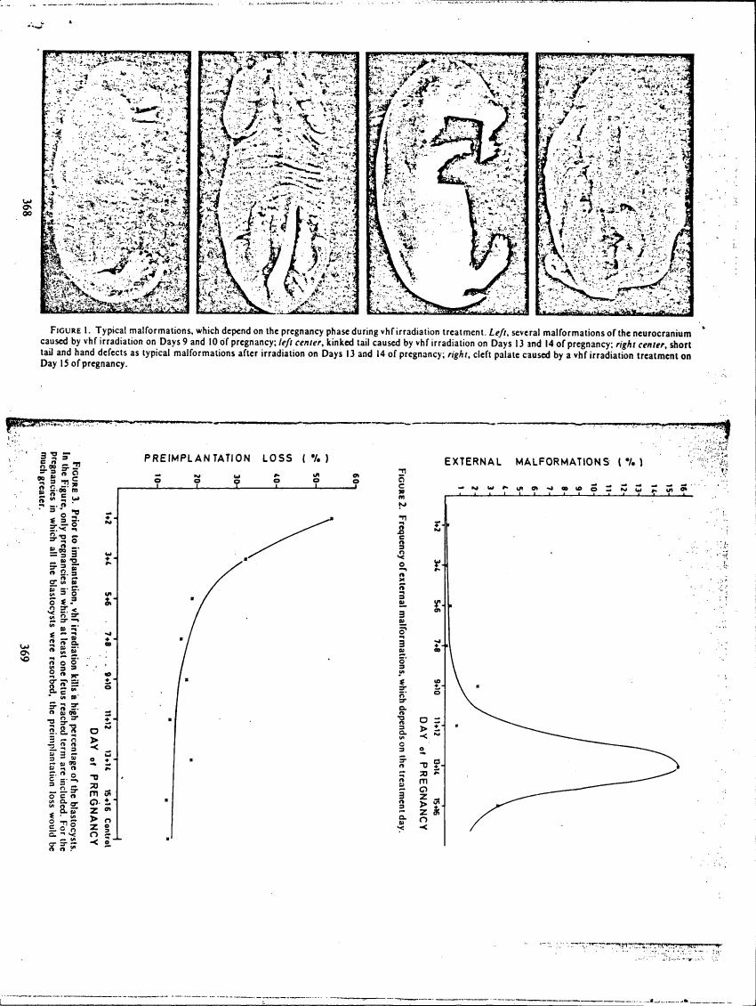 AI-described figure: Figure 1 illustrates typical malformations in embryos caused by irradiation during different stages of pregnancy.