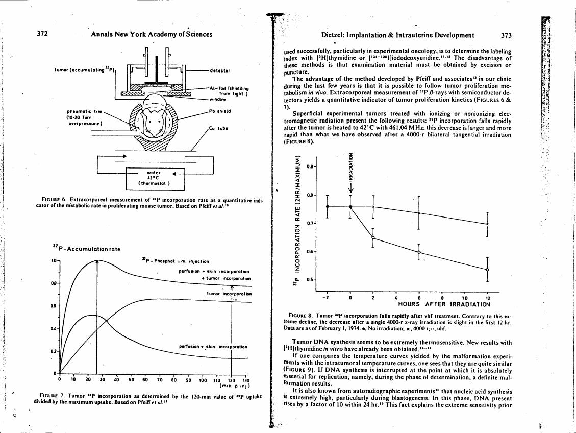 Figure 7. Tumor ^32P incorporation as determined by the 120-min value of ^32P uptake divided by the maximum uptake.