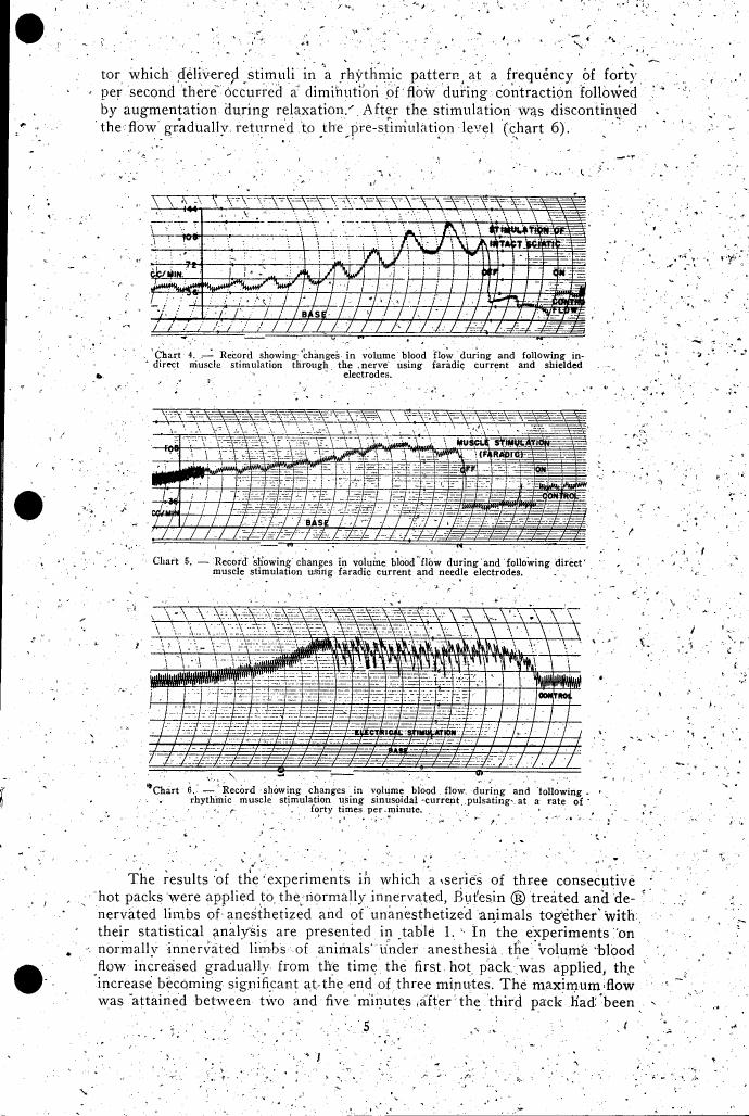 AI-described figure: Record showing changes in volume blood flow during and following rhythmic muscle stimulation using sinusoidal current pulsating at a rate of forty times per minute.