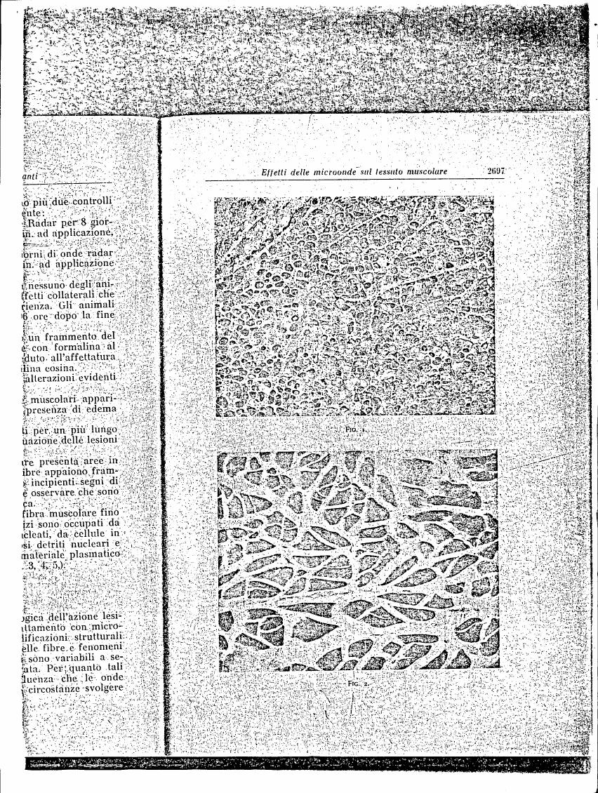 AI-described figure: Microscopic images showing cellular structures and tissue alterations (Fig. 1 & Fig. 2)
