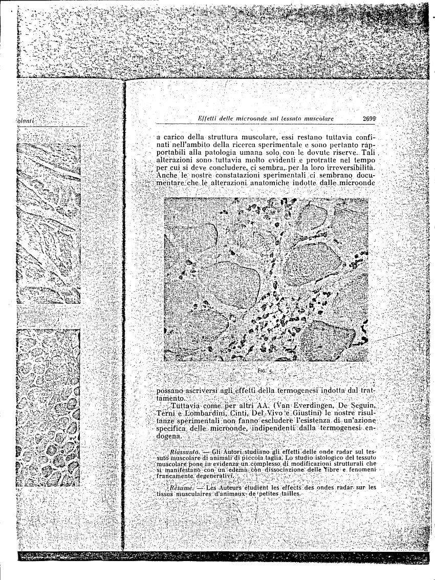 AI-described figure: Microscopic image showing cellular structures and alterations in tissue, labeled as Fig. 5.