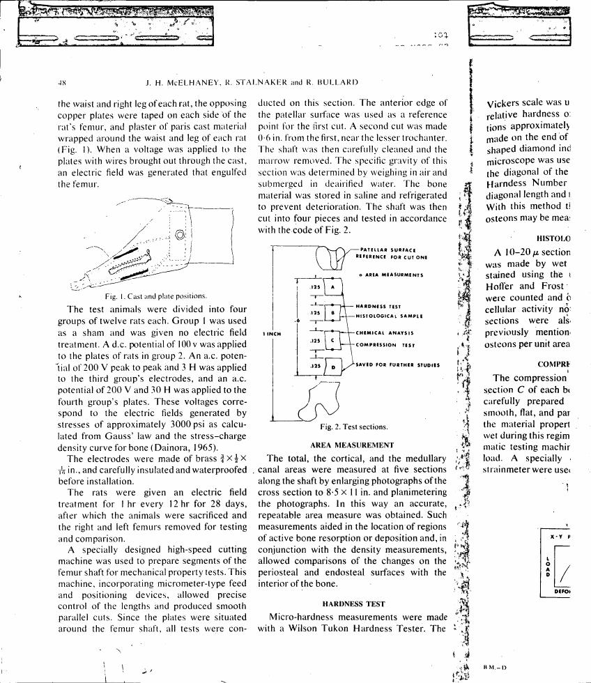 AI-described figure: Figure 1 illustrates the cast and plate positions used in an experiment involving rats.